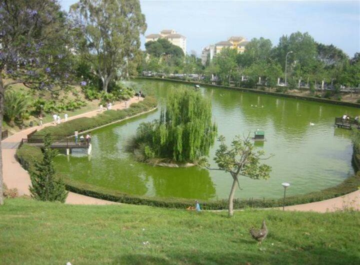 Estudio Sagitario Benalmadena Bagian luar foto